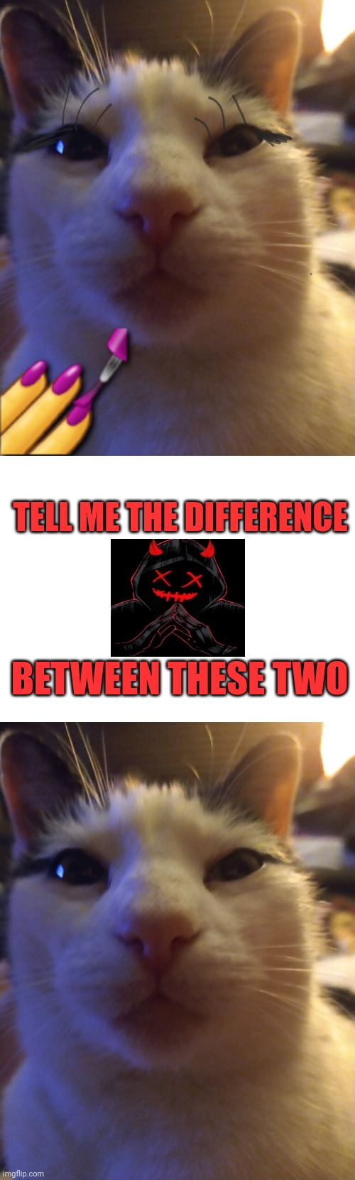 Tell me now | TELL ME THE DIFFERENCE; BETWEEN THESE TWO | image tagged in the_king-dem0n | made w/ Imgflip meme maker