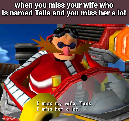 I miss my wife, Tails. | when you miss your wife who is named Tails and you miss her a lot | image tagged in i miss my wife tails | made w/ Imgflip meme maker