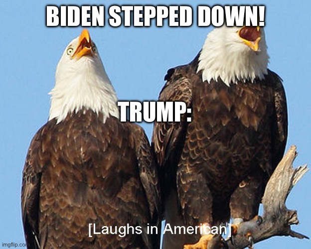 Politics Meme 1 | BIDEN STEPPED DOWN! TRUMP: | image tagged in laughs in american | made w/ Imgflip meme maker