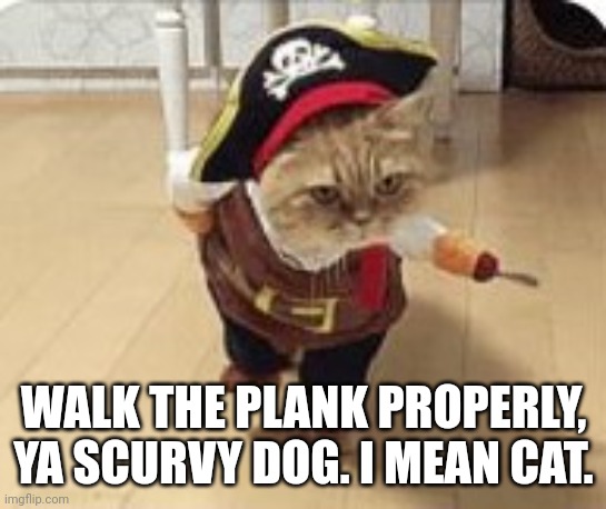 Cat Pirate | WALK THE PLANK PROPERLY, YA SCURVY DOG. I MEAN CAT. | image tagged in cat pirate | made w/ Imgflip meme maker