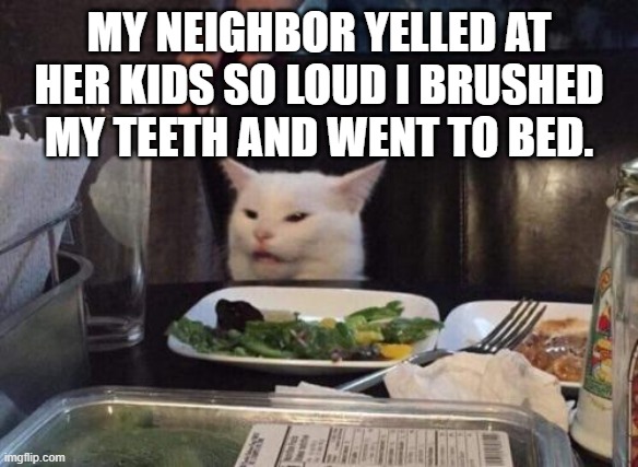 Salad cat | MY NEIGHBOR YELLED AT HER KIDS SO LOUD I BRUSHED MY TEETH AND WENT TO BED. | image tagged in smudge the cat | made w/ Imgflip meme maker