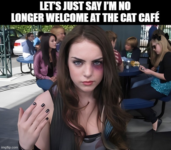 cat café | LET’S JUST SAY I’M NO LONGER WELCOME AT THE CAT CAFÉ | image tagged in memes | made w/ Imgflip meme maker