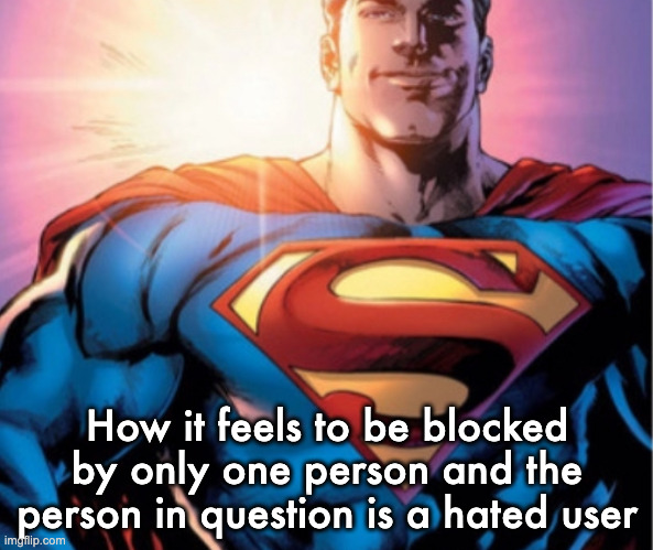 Superman | How it feels to be blocked by only one person and the person in question is a hated user | image tagged in superman | made w/ Imgflip meme maker