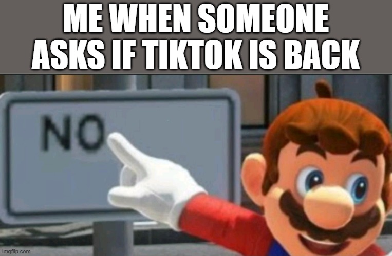 RIP TikTok in America, no more American TikTok :( | ME WHEN SOMEONE ASKS IF TIKTOK IS BACK | image tagged in mario points at a no sign,tiktok | made w/ Imgflip meme maker