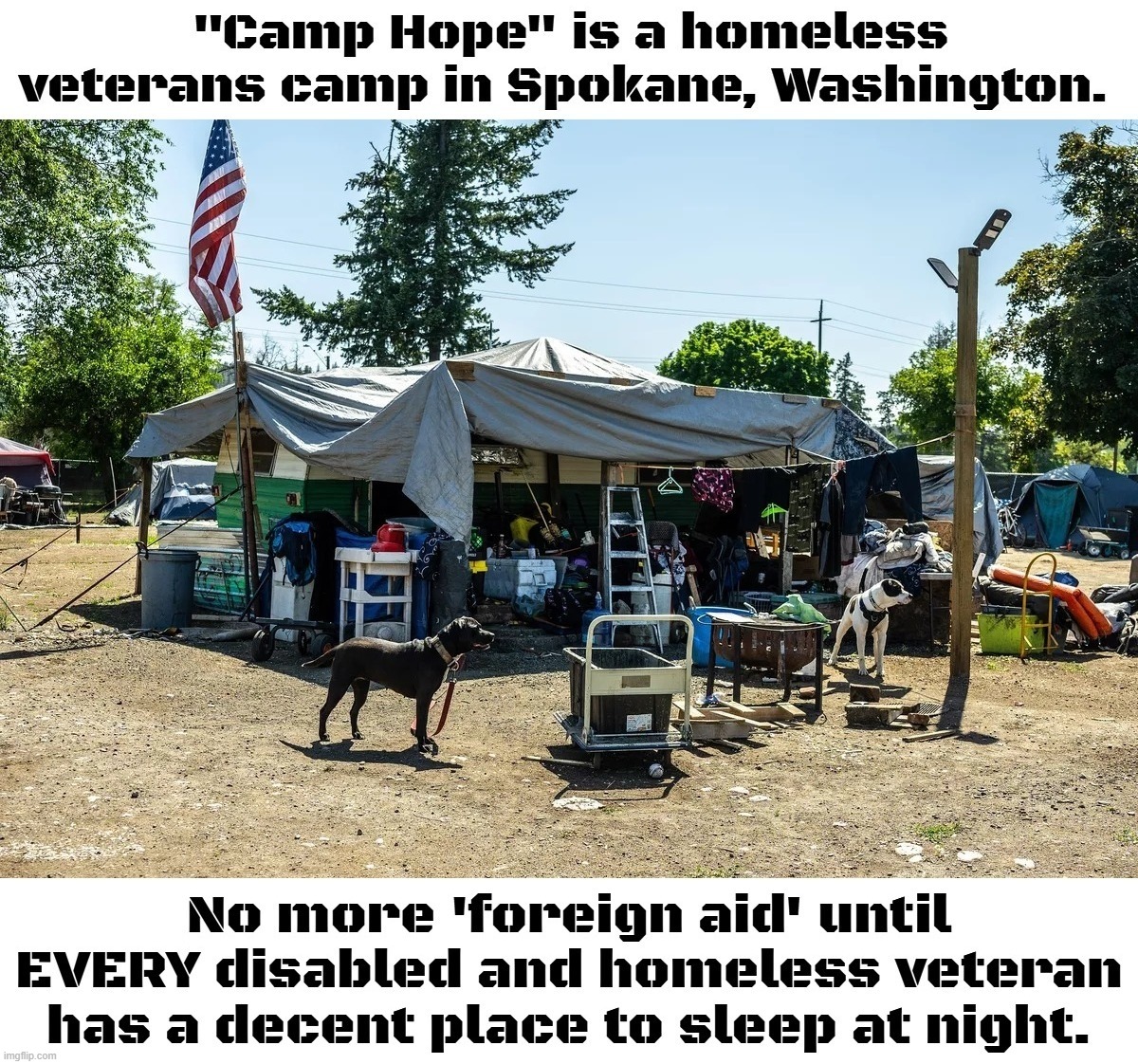 Why is it that some people in America care more about abandoned pets than abandoned veterans? | image tagged in homeless veterans,foreign aid,foreign policy,homeless,veterans day,veterans | made w/ Imgflip meme maker