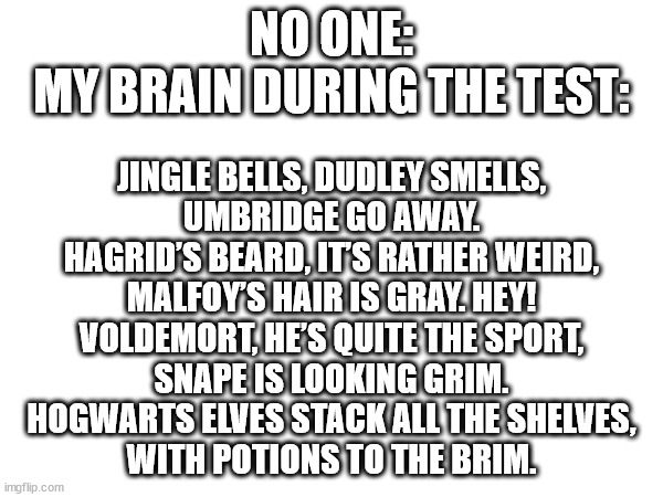 NO ONE:
MY BRAIN DURING THE TEST:; JINGLE BELLS, DUDLEY SMELLS,
UMBRIDGE GO AWAY.
HAGRID’S BEARD, IT’S RATHER WEIRD,
MALFOY’S HAIR IS GRAY. HEY!

VOLDEMORT, HE’S QUITE THE SPORT,
SNAPE IS LOOKING GRIM.
HOGWARTS ELVES STACK ALL THE SHELVES,
WITH POTIONS TO THE BRIM. | made w/ Imgflip meme maker