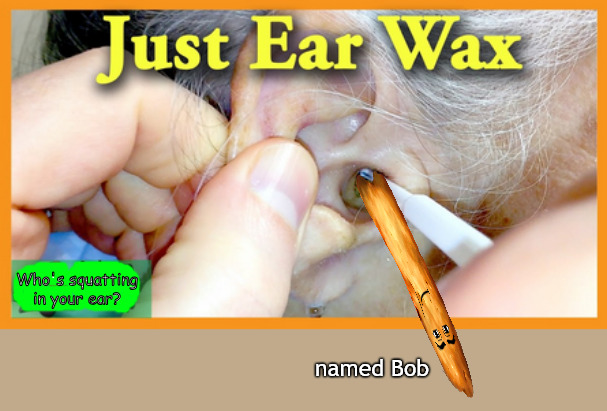 Clean your ears because you'll never know | Who's squatting in your ear? named Bob | image tagged in memes,middle school | made w/ Imgflip meme maker