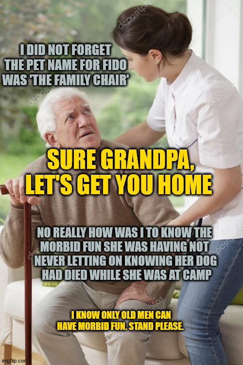 Sure grandpa, let's get you home | I DID NOT FORGET THE PET NAME FOR FIDO WAS 'THE FAMILY CHAIR' SURE GRANDPA, LET'S GET YOU HOME NO REALLY HOW WAS I TO KNOW THE 
MORBID FUN S | image tagged in sure grandpa let's get you home | made w/ Imgflip meme maker