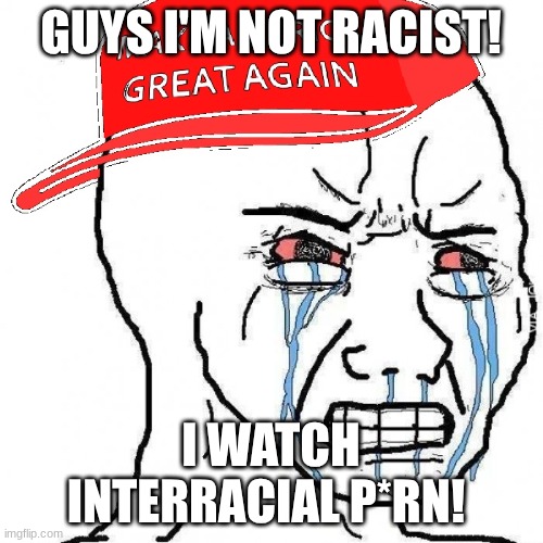 Crying wojak maga | GUYS I'M NOT RACIST! I WATCH INTERRACIAL P*RN! | image tagged in crying wojak maga | made w/ Imgflip meme maker