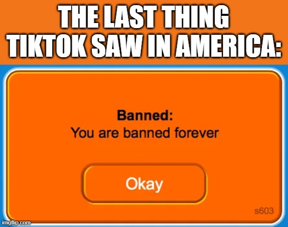 I can't believe it's gone forever... | THE LAST THING TIKTOK SAW IN AMERICA: | image tagged in tiktok | made w/ Imgflip meme maker