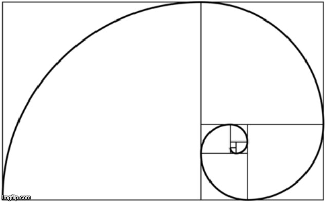 Fibonacci Spiral | image tagged in fibonacci spiral | made w/ Imgflip meme maker