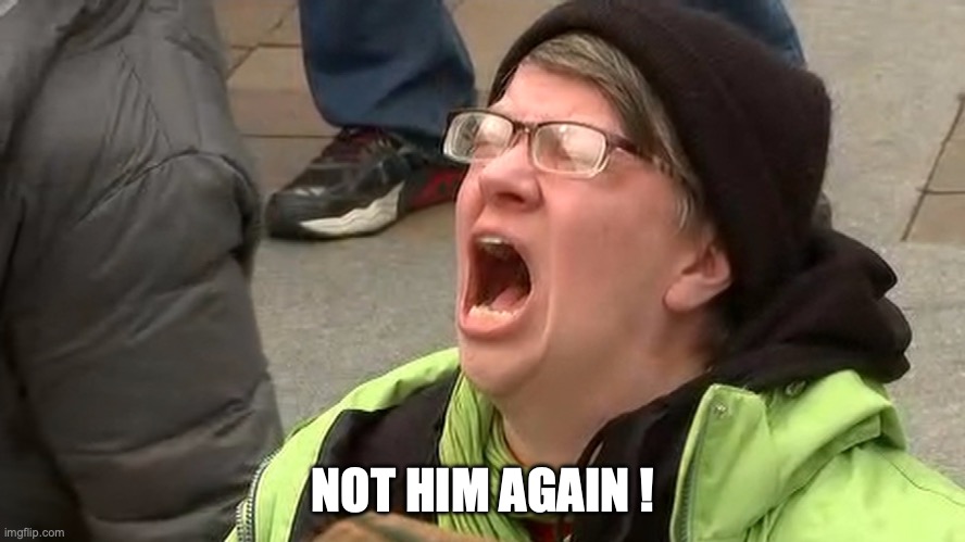 Screaming Woman | NOT HIM AGAIN ! | image tagged in screaming woman,donald trump,anti-trump | made w/ Imgflip meme maker