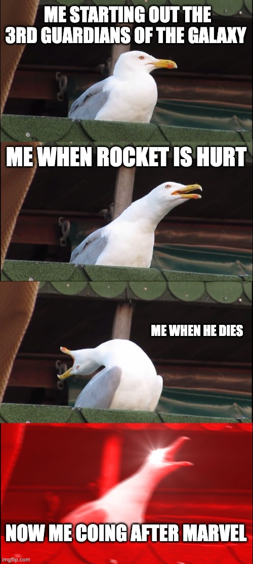 marvel quit killing the good charaters | ME STARTING OUT THE 3RD GUARDIANS OF THE GALAXY; ME WHEN ROCKET IS HURT; ME WHEN HE DIES; NOW ME COING AFTER MARVEL | image tagged in memes,inhaling seagull | made w/ Imgflip meme maker