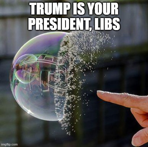 Burst Bubble | TRUMP IS YOUR PRESIDENT, LIBS | image tagged in burst bubble | made w/ Imgflip meme maker