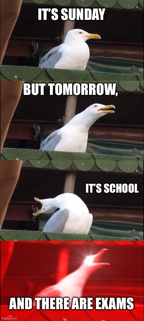 EXAMS ARE STRESS INDUCING!!!!!! | IT’S SUNDAY; BUT TOMORROW, IT’S SCHOOL; AND THERE ARE EXAMS | image tagged in memes,inhaling seagull | made w/ Imgflip meme maker