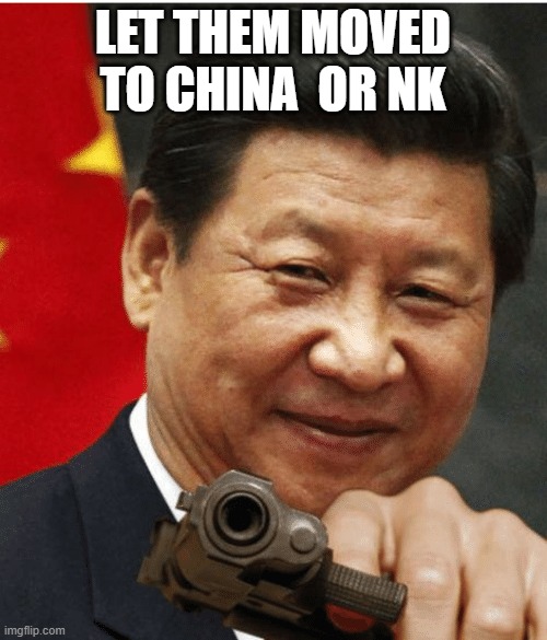 LET THEM MOVED TO CHINA  OR NK | image tagged in xi jinping | made w/ Imgflip meme maker