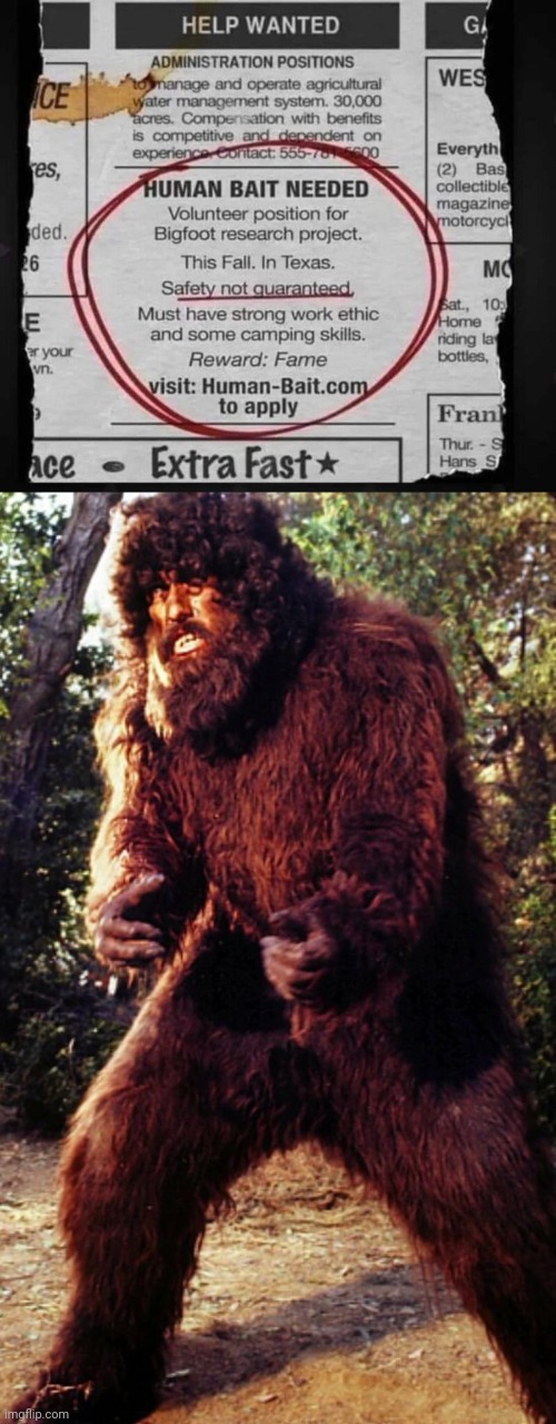 Human bait needed | image tagged in bigfoot ted cassady from six million dollar man,human,bait,sasquatch | made w/ Imgflip meme maker