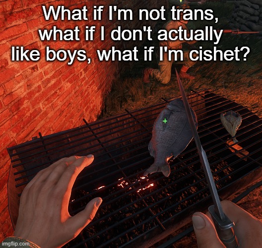 edited it cuz one of the mods got pissed off lmao (Mitra: It was me LMAO) | What if I'm not trans, what if I don't actually like boys, what if I'm cishet? | image tagged in bro is grilling a fish | made w/ Imgflip meme maker