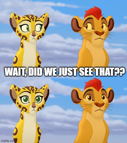 Kion and Fuli Side-eye | WAIT, DID WE JUST SEE THAT?? | image tagged in kion and fuli side-eye | made w/ Imgflip meme maker