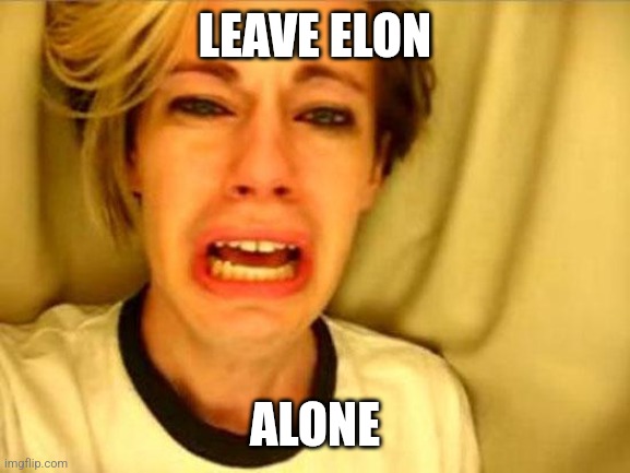 Leave Britney Alone | LEAVE ELON; ALONE | image tagged in leave britney alone | made w/ Imgflip meme maker