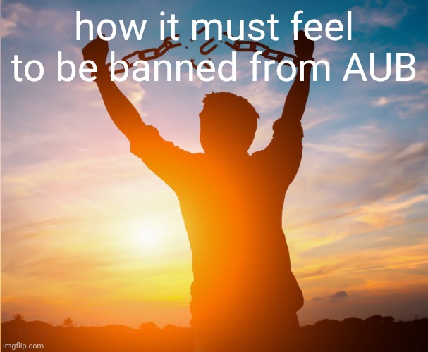 Man breaking free from chains over the sunset | how it must feel to be banned from AUB | image tagged in man breaking free from chains over the sunset | made w/ Imgflip meme maker
