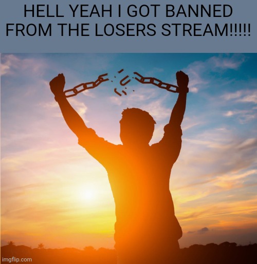 aub | HELL YEAH I GOT BANNED FROM THE LOSERS STREAM!!!!! | image tagged in man breaking free from chains over the sunset | made w/ Imgflip meme maker
