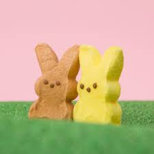 bunny peeps Blank Meme Template