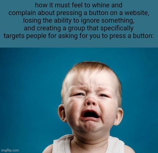 how it must feel to whine and complain about pressing a button on a website, losing the ability to ignore something, and creating a group th | image tagged in baby crying | made w/ Imgflip meme maker