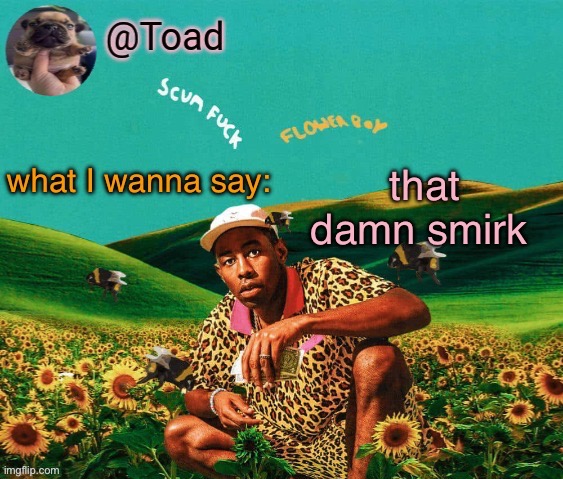 that damn smirk | that damn smirk | image tagged in tylor im kissing you spino | made w/ Imgflip meme maker