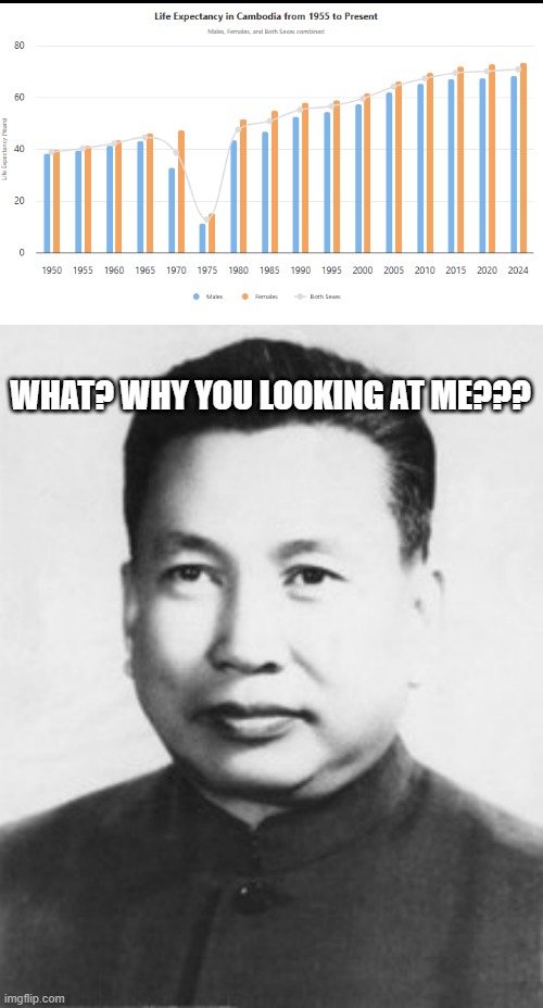 The Killing Fields | WHAT? WHY YOU LOOKING AT ME??? | image tagged in pol pot | made w/ Imgflip meme maker