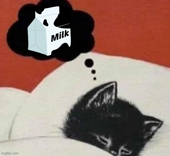 Dreaming cat | image tagged in dreaming cat | made w/ Imgflip meme maker