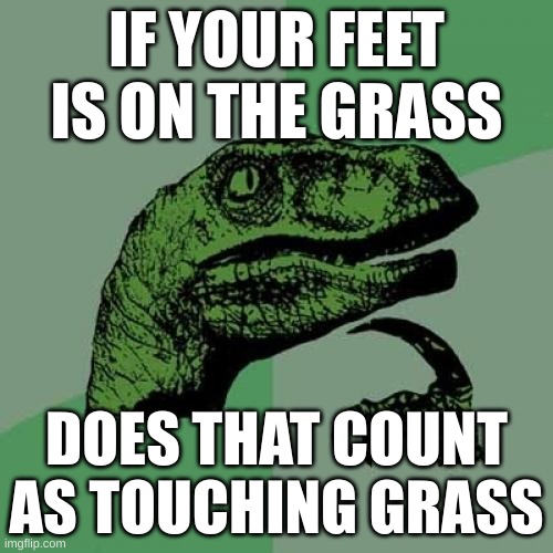 mind blown | IF YOUR FEET IS ON THE GRASS; DOES THAT COUNT AS TOUCHING GRASS | image tagged in memes,philosoraptor,gaming,touch grass,funny | made w/ Imgflip meme maker