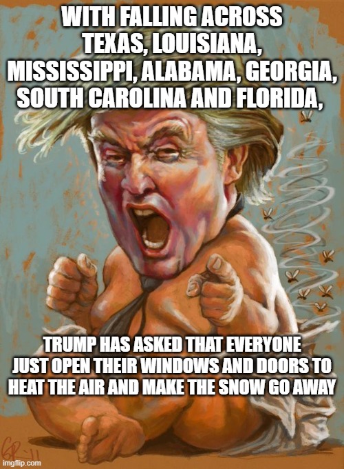 BUNKER BITCH  pure jackassery, | WITH FALLING ACROSS TEXAS, LOUISIANA, MISSISSIPPI, ALABAMA, GEORGIA, SOUTH CAROLINA AND FLORIDA, TRUMP HAS ASKED THAT EVERYONE JUST OPEN THEIR WINDOWS AND DOORS TO HEAT THE AIR AND MAKE THE SNOW GO AWAY | image tagged in trump baby infant full diaper | made w/ Imgflip meme maker