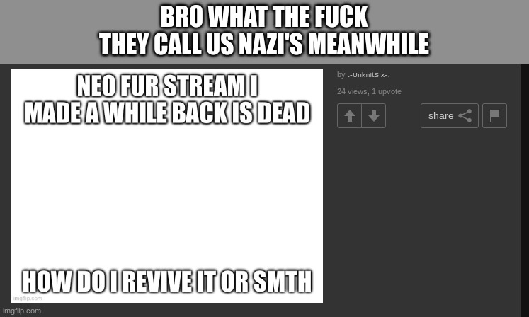 Mod note: Neo does not mean Nazi. | BRO WHAT THE FUCK
THEY CALL US NAZI'S MEANWHILE | image tagged in hypocrisy | made w/ Imgflip meme maker