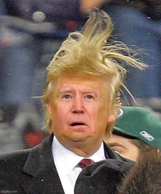 Jonald Bidump | image tagged in donald trumph hair | made w/ Imgflip meme maker