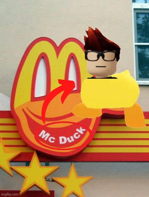 MC DUCK | image tagged in mc duck,memes,mcdonald's,name soundalikes,duck,mc | made w/ Imgflip meme maker