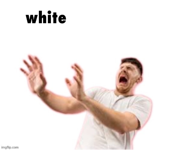 white imgflip link | image tagged in white imgflip link | made w/ Imgflip meme maker