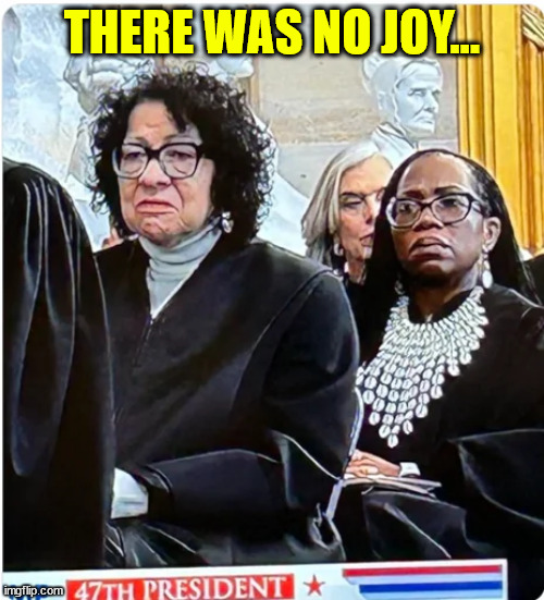 Sour pusses | THERE WAS NO JOY... | image tagged in democrats,miserable people,insufferable | made w/ Imgflip meme maker