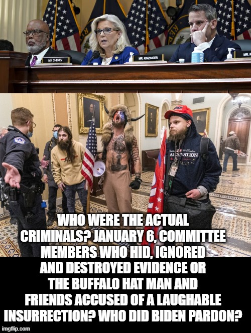 Only a mentally ill person would vote Democrat after Joe's Pardon for the REAL CRIMINALS! | WHO WERE THE ACTUAL CRIMINALS? JANUARY 6, COMMITTEE MEMBERS WHO HID, IGNORED AND DESTROYED EVIDENCE OR THE BUFFALO HAT MAN AND FRIENDS ACCUSED OF A LAUGHABLE INSURRECTION? WHO DID BIDEN PARDON? | image tagged in do you are have stupid,stupid liberals,sam elliott special kind of stupid | made w/ Imgflip meme maker