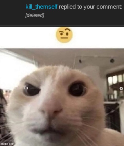 ​ | image tagged in raised eyebrow cat | made w/ Imgflip meme maker