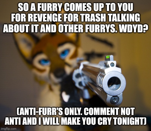 Furry with gun | SO A FURRY COMES UP TO YOU FOR REVENGE FOR TRASH TALKING ABOUT IT AND OTHER FURRYS. WDYD? (ANTI-FURR'S ONLY. COMMENT NOT ANTI AND I WILL MAKE YOU CRY TONIGHT) | image tagged in furry with gun | made w/ Imgflip meme maker