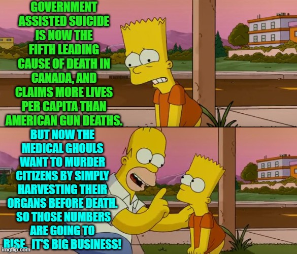 Notice how ALL conservative warnings eventually come to pass?  I thought I noticed you noticing. | GOVERNMENT ASSISTED SUICIDE IS NOW THE FIFTH LEADING CAUSE OF DEATH IN CANADA, AND CLAIMS MORE LIVES PER CAPITA THAN AMERICAN GUN DEATHS. BUT NOW THE MEDICAL GHOULS WANT TO MURDER CITIZENS BY SIMPLY HARVESTING THEIR ORGANS BEFORE DEATH.  SO THOSE NUMBERS ARE GOING TO RISE.  IT'S BIG BUSINESS! | image tagged in simpsons so far | made w/ Imgflip meme maker