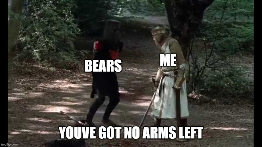 you've got no arms left | ME YOUVE GOT NO ARMS LEFT BEARS | image tagged in you've got no arms left | made w/ Imgflip meme maker