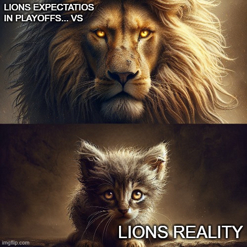 Lions | LIONS EXPECTATIOS IN PLAYOFFS... VS; LIONS REALITY | image tagged in nfl memes | made w/ Imgflip meme maker