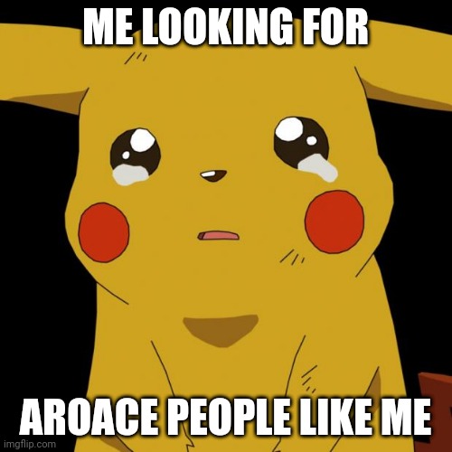 .. | ME LOOKING FOR; AROACE PEOPLE LIKE ME | image tagged in pikachu crying | made w/ Imgflip meme maker