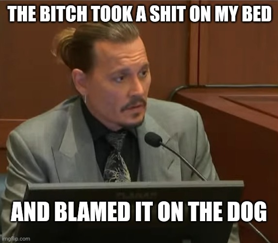 Johnny Depp | AND BLAMED IT ON THE DOG THE BITCH TOOK A SHIT ON MY BED | image tagged in johnny depp | made w/ Imgflip meme maker