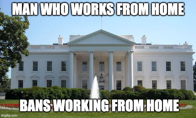 But what if I live at work? | MAN WHO WORKS FROM HOME; BANS WORKING FROM HOME | image tagged in white house,irony | made w/ Imgflip meme maker