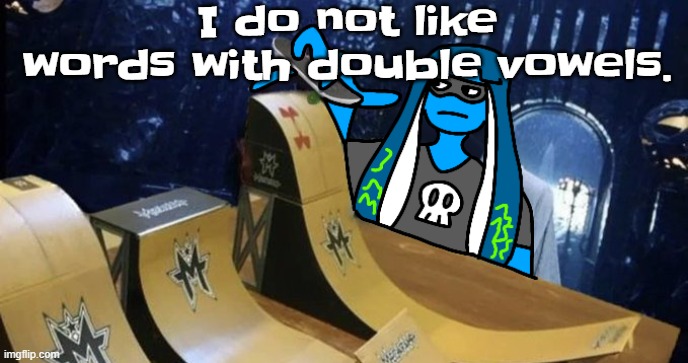 Skatezboard | I do not like words with double vowels. | image tagged in skatezboard | made w/ Imgflip meme maker