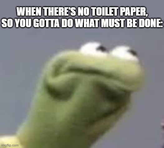 *rubbing intensifies* | WHEN THERE'S NO TOILET PAPER, SO YOU GOTTA DO WHAT MUST BE DONE: | image tagged in kermit scrunch,oh no,toilet paper,hands,kill me,kamehameha | made w/ Imgflip meme maker