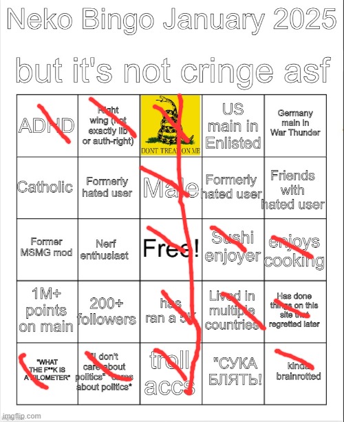 yippie | image tagged in neko jan 2025 bingo but it's not cringe asf | made w/ Imgflip meme maker